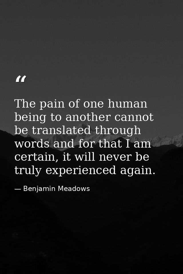 The pain of one human being to another cannot be translated through words and for that I am certain, it will never be tr — Benjamin Meadows