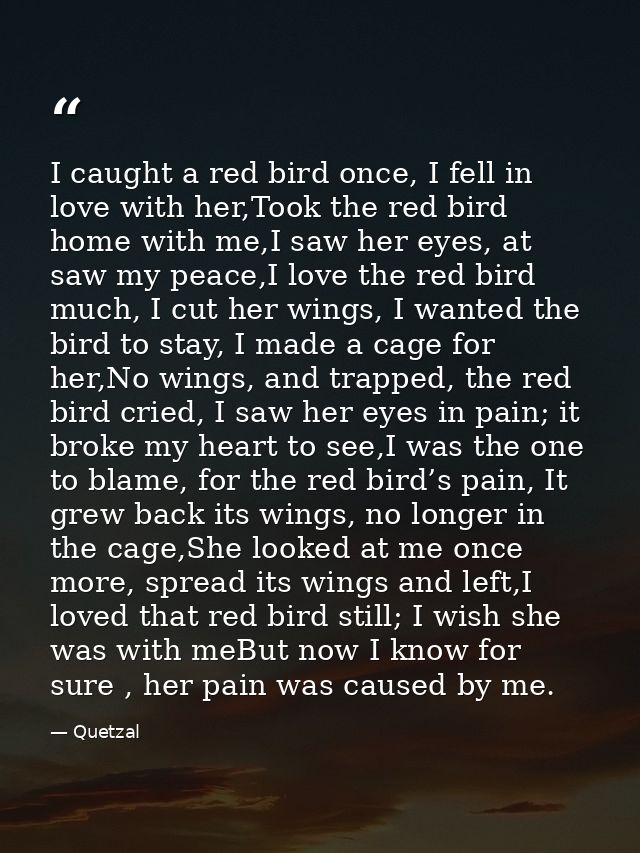I caught a red bird once, I fell in love with her,Took the red bird home with me,I saw her eyes, at saw my peace,I love  — Quetzal