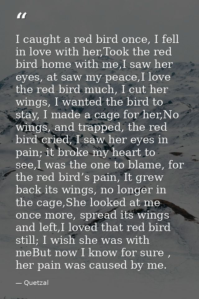 I caught a red bird once, I fell in love with her,Took the red bird home with me,I saw her eyes, at saw my peace,I love  — Quetzal
