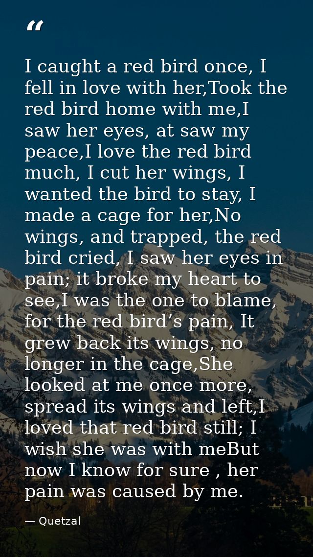 I caught a red bird once, I fell in love with her,Took the red bird home with me,I saw her eyes, at saw my peace,I love  — Quetzal