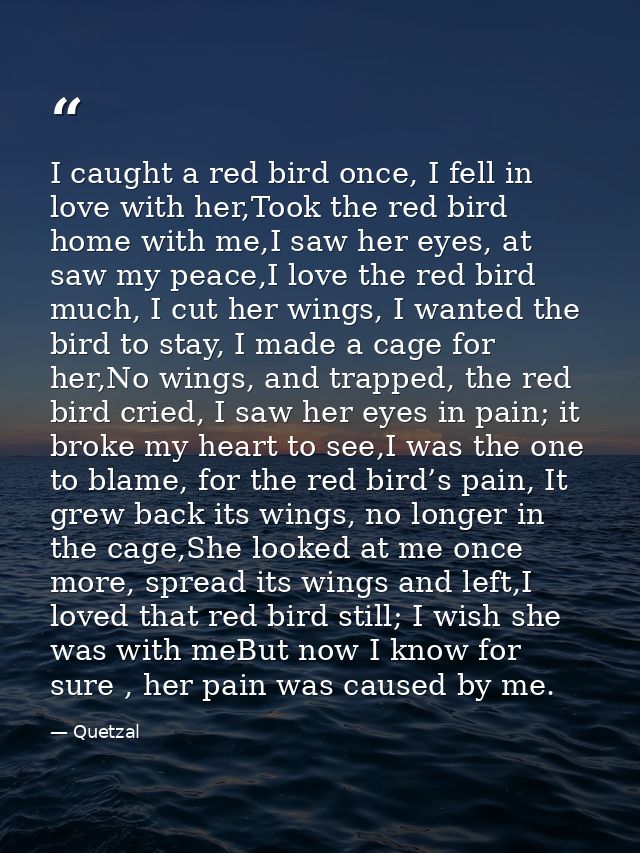 I caught a red bird once, I fell in love with her,Took the red bird home with me,I saw her eyes, at saw my peace,I love  — Quetzal