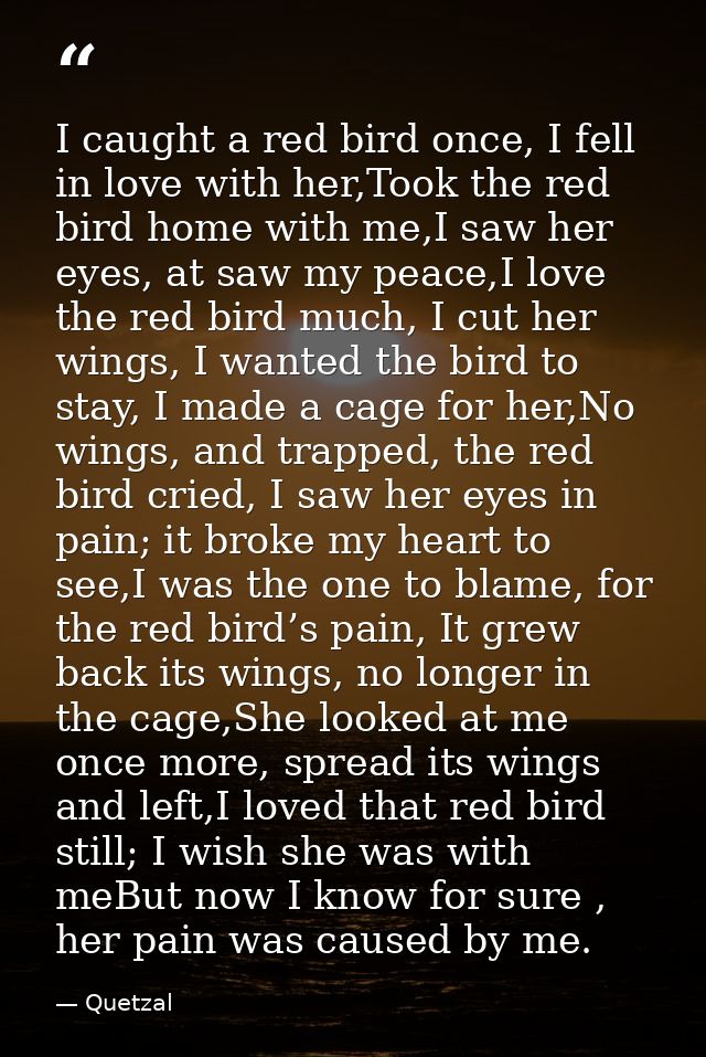 I caught a red bird once, I fell in love with her,Took the red bird home with me,I saw her eyes, at saw my peace,I love  — Quetzal