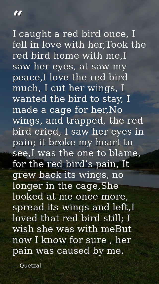 I caught a red bird once, I fell in love with her,Took the red bird home with me,I saw her eyes, at saw my peace,I love  — Quetzal