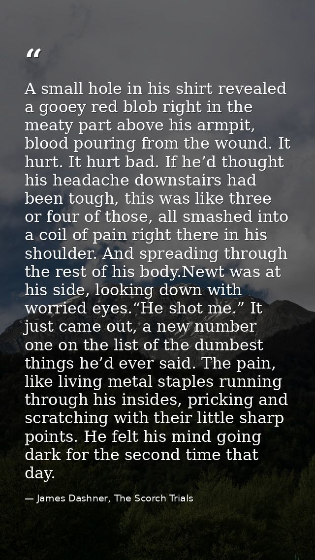 A small hole in his shirt revealed a gooey red blob right in the meaty part above his armpit, blood pouring from the wou — James Dashner, The Scorch Trials