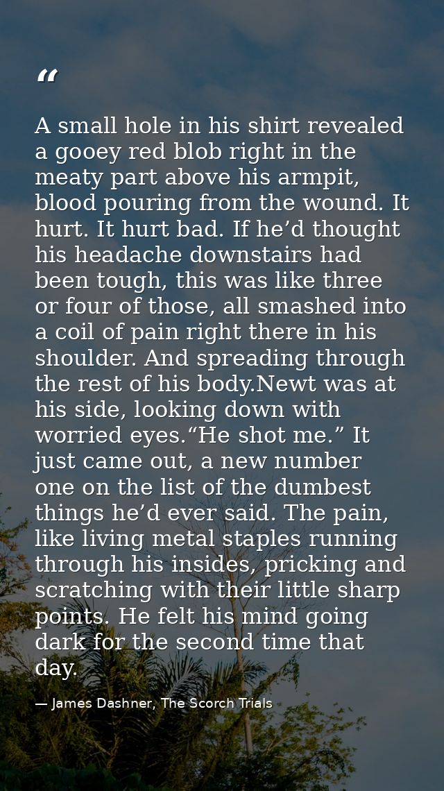 A small hole in his shirt revealed a gooey red blob right in the meaty part above his armpit, blood pouring from the wou — James Dashner, The Scorch Trials