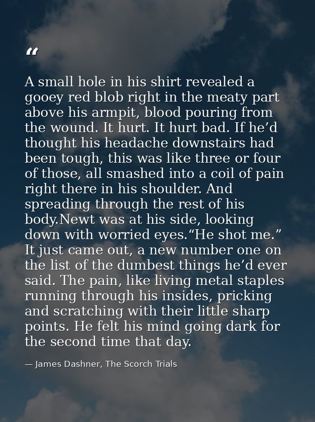 A small hole in his shirt revealed a gooey red blob right in the meaty part above his armpit, blood pouring from the wou — James Dashner, The Scorch Trials