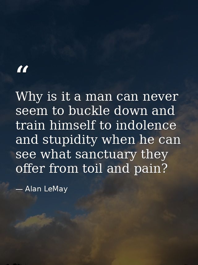 Why is it a man can never seem to buckle down and train himself to indolence and stupidity when he can see what sanctuar — Alan LeMay