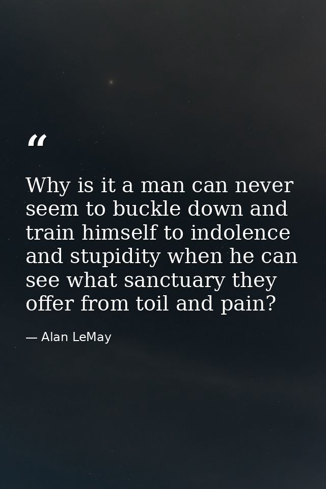 Why is it a man can never seem to buckle down and train himself to indolence and stupidity when he can see what sanctuar — Alan LeMay