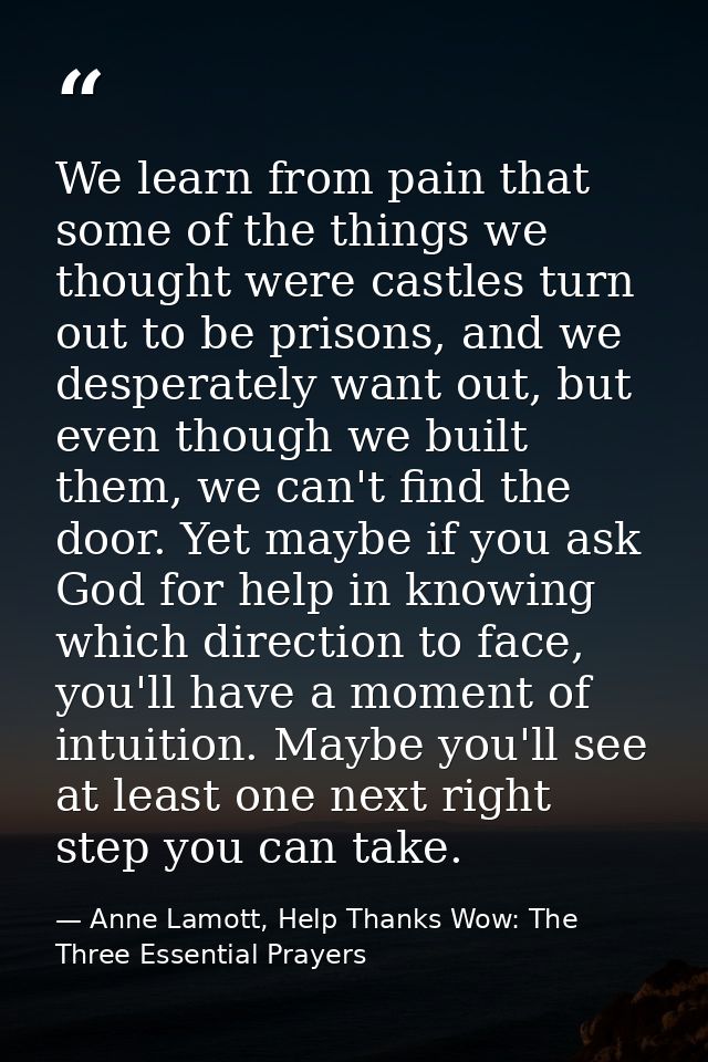 We learn from pain that some of the things we thought were castles turn out to be prisons, and we desperately want out,  — Anne Lamott, Help Thanks Wow: The Three Essential Prayers