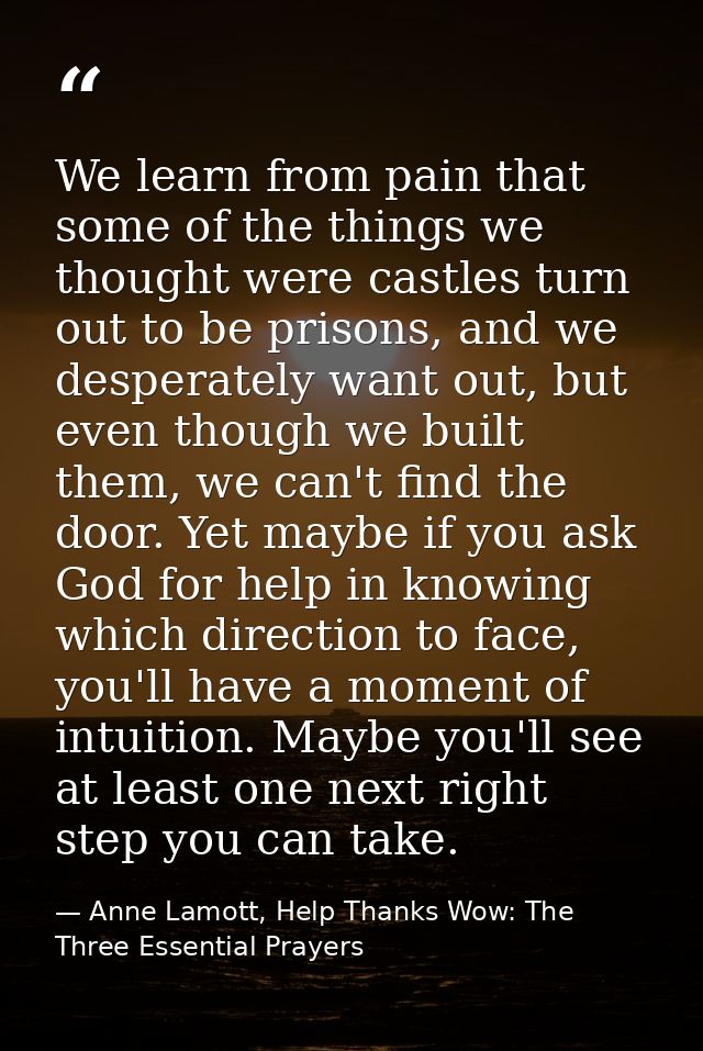 We learn from pain that some of the things we thought were castles turn out to be prisons, and we desperately want out,  — Anne Lamott, Help Thanks Wow: The Three Essential Prayers
