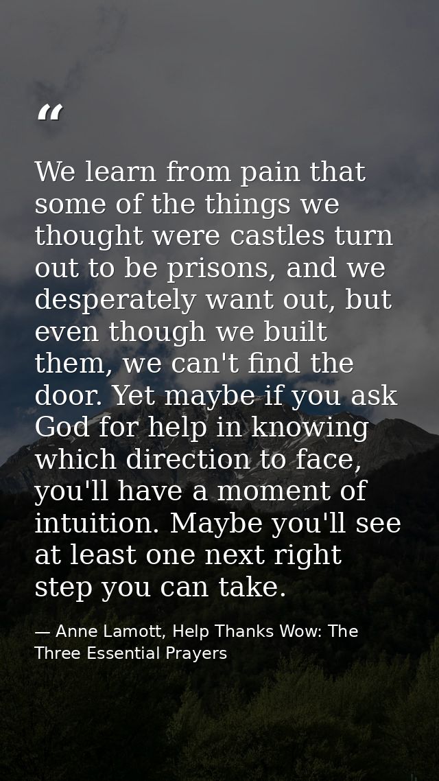 We learn from pain that some of the things we thought were castles turn out to be prisons, and we desperately want out,  — Anne Lamott, Help Thanks Wow: The Three Essential Prayers