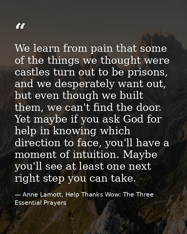 We learn from pain that some of the things we thought were castles turn out to be prisons, and we desperately want out,  — Anne Lamott, Help Thanks Wow: The Three Essential Prayers