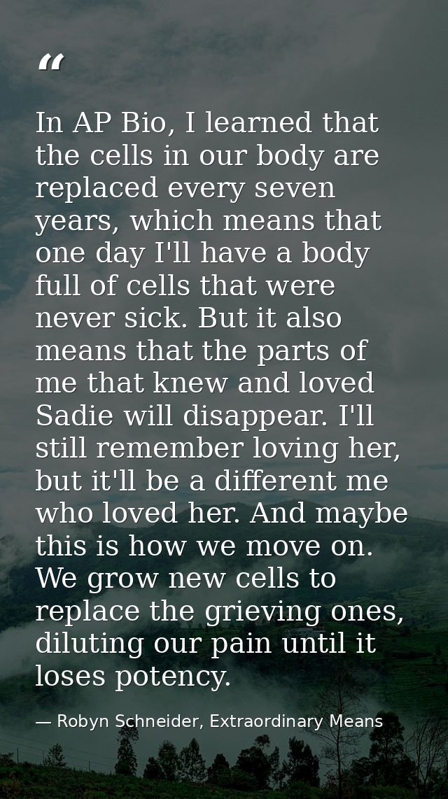 In AP Bio, I learned that the cells in our body are replaced every seven years, which means that one day I'll have a bod — Robyn Schneider, Extraordinary Means