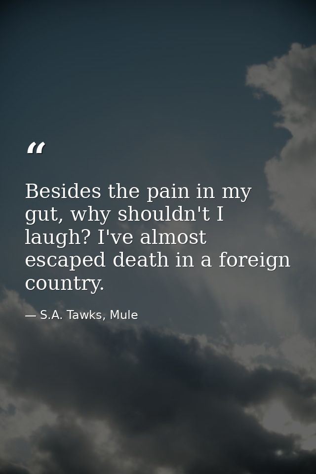 Besides the pain in my gut, why shouldn't I laugh? I've almost escaped death in a foreign country. — S.A. Tawks, Mule