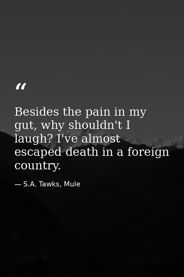 Besides the pain in my gut, why shouldn't I laugh? I've almost escaped death in a foreign country. — S.A. Tawks, Mule