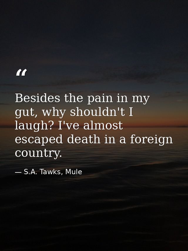 Besides the pain in my gut, why shouldn't I laugh? I've almost escaped death in a foreign country. — S.A. Tawks, Mule