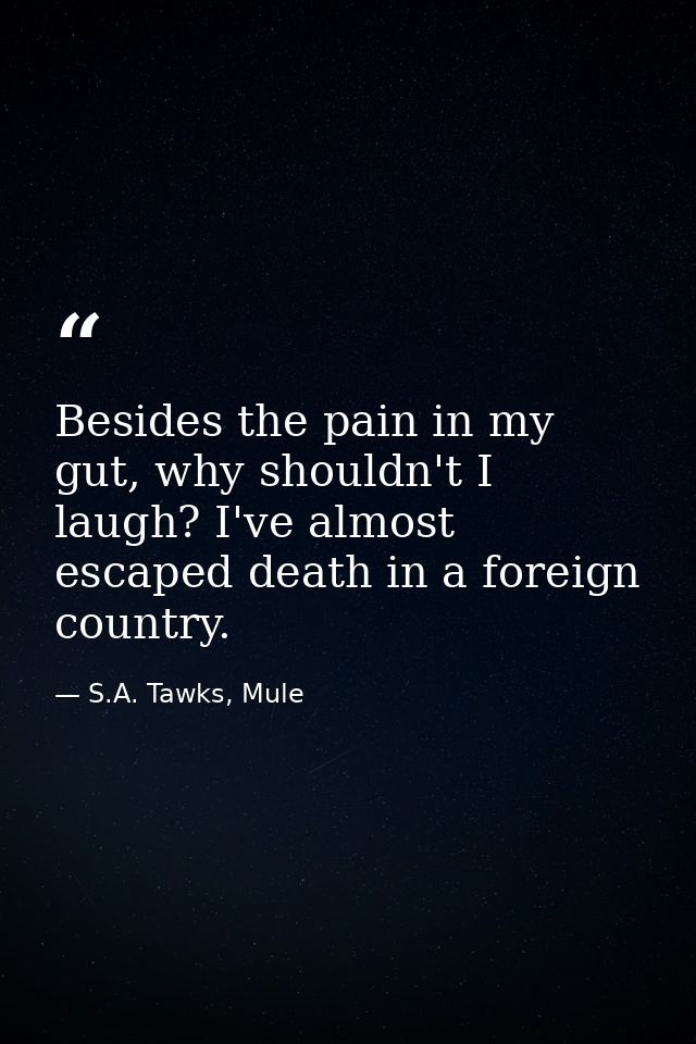 Besides the pain in my gut, why shouldn't I laugh? I've almost escaped death in a foreign country. — S.A. Tawks, Mule