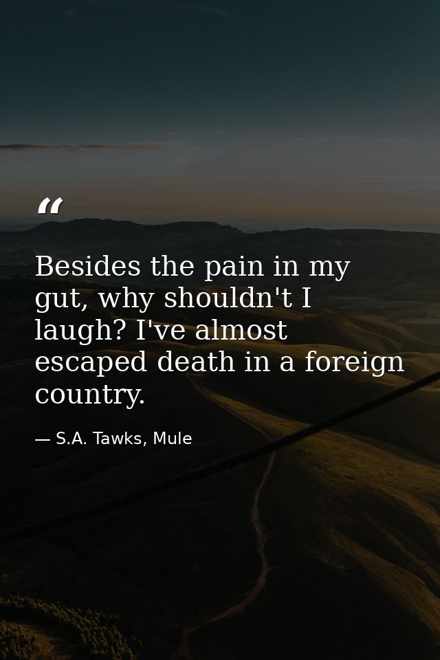 Besides the pain in my gut, why shouldn't I laugh? I've almost escaped death in a foreign country. — S.A. Tawks, Mule