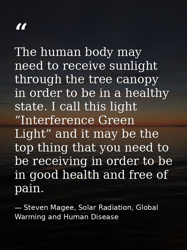 The human body may need to receive sunlight through the tree canopy in order to be in a healthy state. I call this light — Steven Magee, Solar Radiation, Global Warming and Human Disease