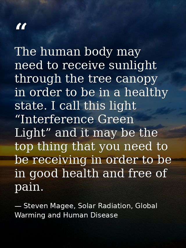 The human body may need to receive sunlight through the tree canopy in order to be in a healthy state. I call this light — Steven Magee, Solar Radiation, Global Warming and Human Disease