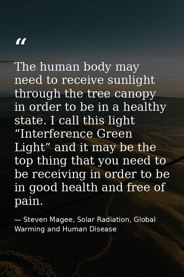The human body may need to receive sunlight through the tree canopy in order to be in a healthy state. I call this light — Steven Magee, Solar Radiation, Global Warming and Human Disease