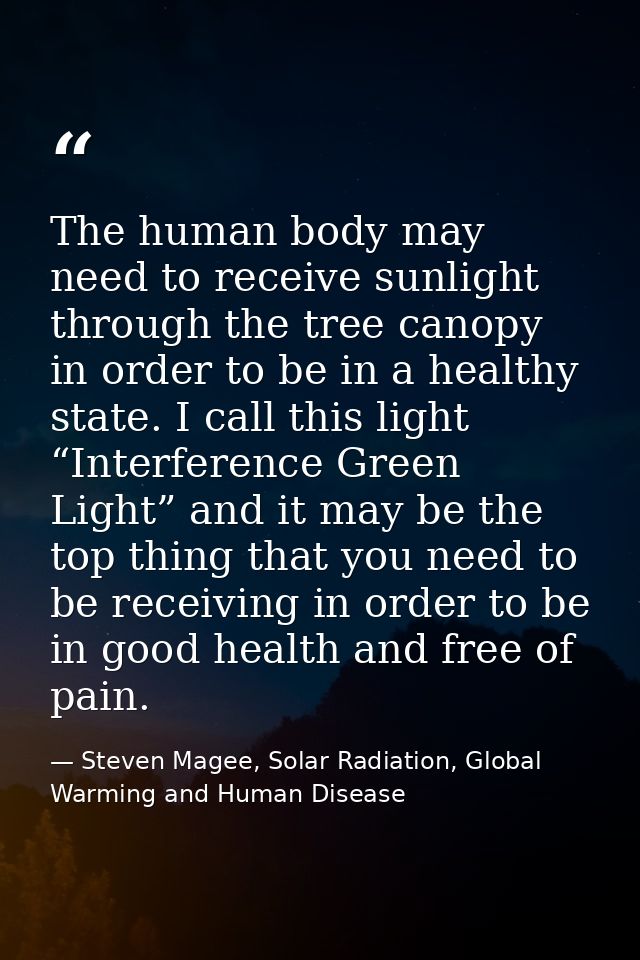 The human body may need to receive sunlight through the tree canopy in order to be in a healthy state. I call this light — Steven Magee, Solar Radiation, Global Warming and Human Disease