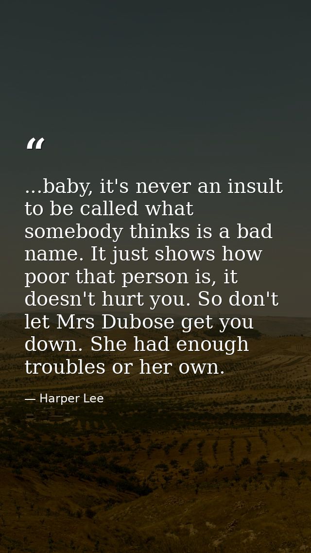 ...baby, it's never an insult to be called what somebody thinks is a bad name. It just shows how poor that person is, it — Harper Lee