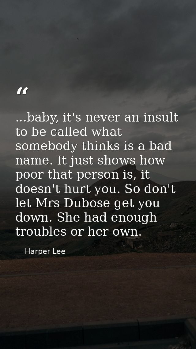 ...baby, it's never an insult to be called what somebody thinks is a bad name. It just shows how poor that person is, it — Harper Lee