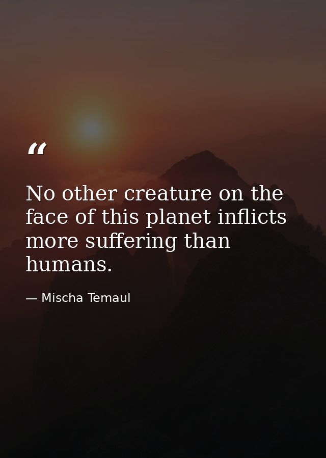 No other creature on the face of this planet inflicts more suffering than humans. — Mischa Temaul