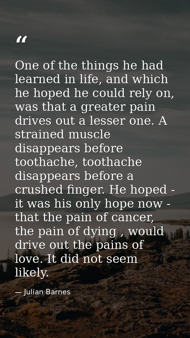 One of the things he had learned in life, and which he hoped he could rely on, was that a greater pain drives out a less — Julian Barnes
