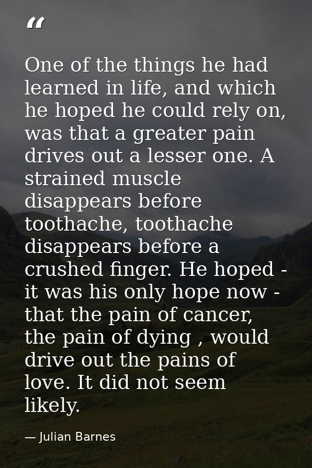 One of the things he had learned in life, and which he hoped he could rely on, was that a greater pain drives out a less — Julian Barnes