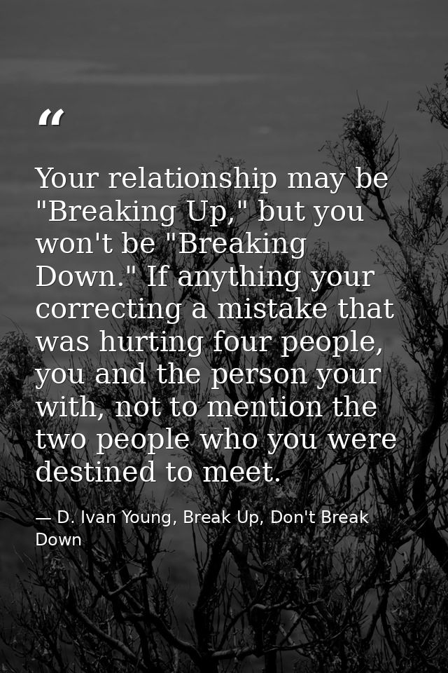 Your relationship may be "Breaking Up," but you won't be "Breaking Down." If anything your correcting a mistake that was — D. Ivan Young, Break Up, Don't Break Down