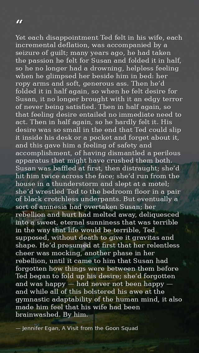 Yet each disappointment Ted felt in his wife, each incremental deflation, was accompanied by a seizure of guilt; many ye — Jennifer Egan, A Visit from the Goon Squad