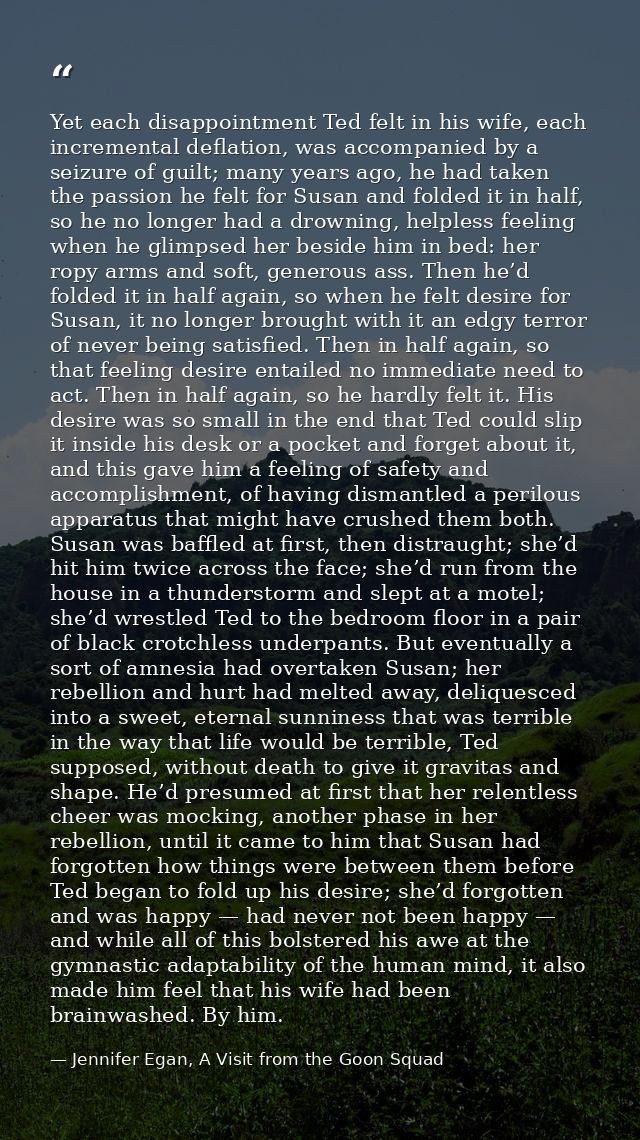 Yet each disappointment Ted felt in his wife, each incremental deflation, was accompanied by a seizure of guilt; many ye — Jennifer Egan, A Visit from the Goon Squad