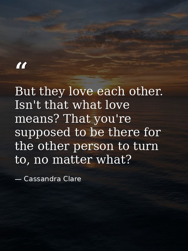 But they love each other. Isn't that what love means? That you're supposed to be there for the other person to turn to,  — Cassandra Clare