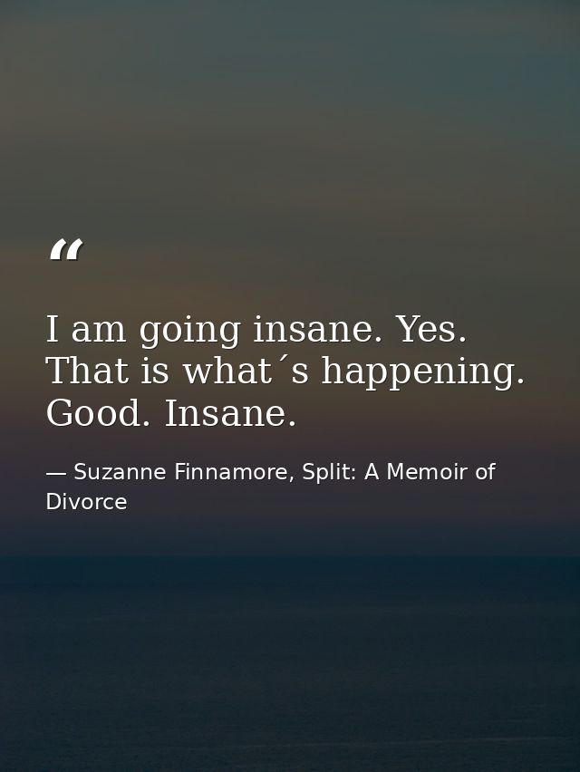 I am going insane. Yes. That is what´s happening. Good. Insane. — Suzanne Finnamore, Split: A Memoir of Divorce
