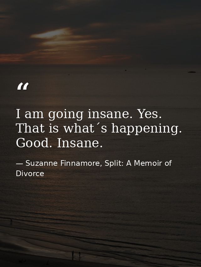 I am going insane. Yes. That is what´s happening. Good. Insane. — Suzanne Finnamore, Split: A Memoir of Divorce