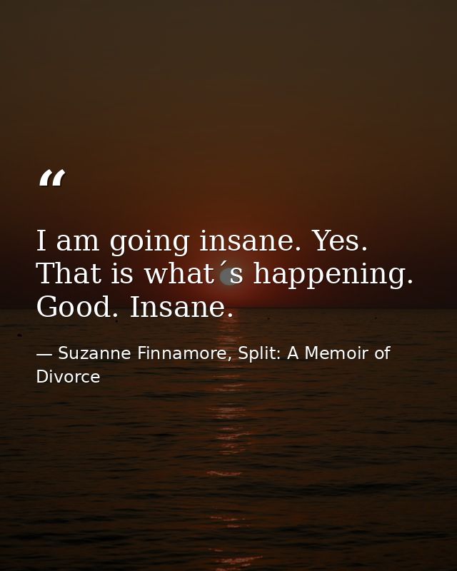 I am going insane. Yes. That is what´s happening. Good. Insane. — Suzanne Finnamore, Split: A Memoir of Divorce