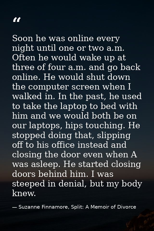 Soon he was online every night until one or two a.m. Often he would wake up at three of four a.m. and go back online. He — Suzanne Finnamore, Split: A Memoir of Divorce