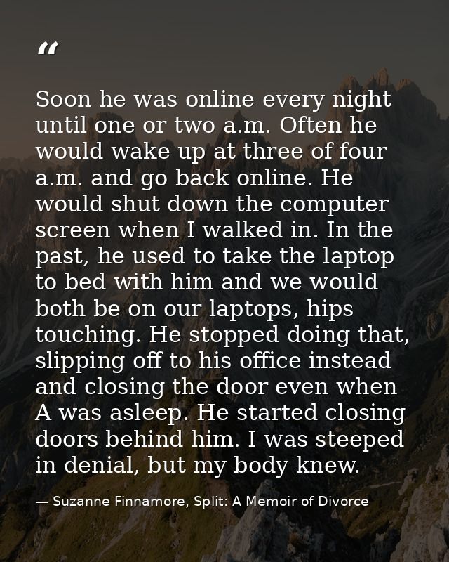 Soon he was online every night until one or two a.m. Often he would wake up at three of four a.m. and go back online. He — Suzanne Finnamore, Split: A Memoir of Divorce