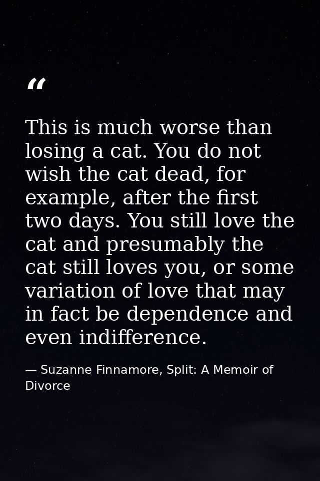 This is much worse than losing a cat. You do not wish the cat dead, for example, after the first two days. You still lov — Suzanne Finnamore, Split: A Memoir of Divorce