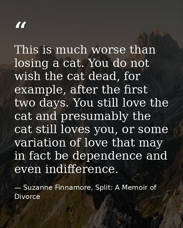This is much worse than losing a cat. You do not wish the cat dead, for example, after the first two days. You still lov — Suzanne Finnamore, Split: A Memoir of Divorce