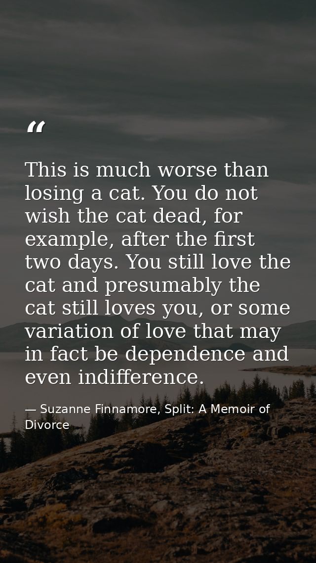 This is much worse than losing a cat. You do not wish the cat dead, for example, after the first two days. You still lov — Suzanne Finnamore, Split: A Memoir of Divorce