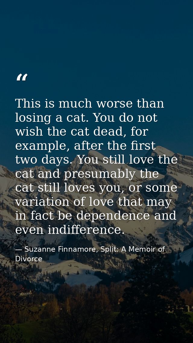 This is much worse than losing a cat. You do not wish the cat dead, for example, after the first two days. You still lov — Suzanne Finnamore, Split: A Memoir of Divorce