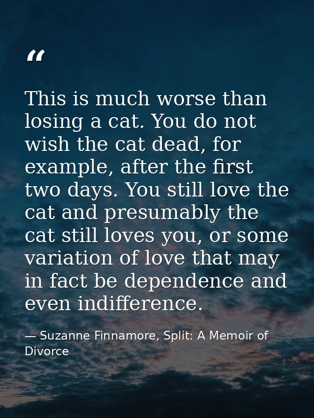 This is much worse than losing a cat. You do not wish the cat dead, for example, after the first two days. You still lov — Suzanne Finnamore, Split: A Memoir of Divorce