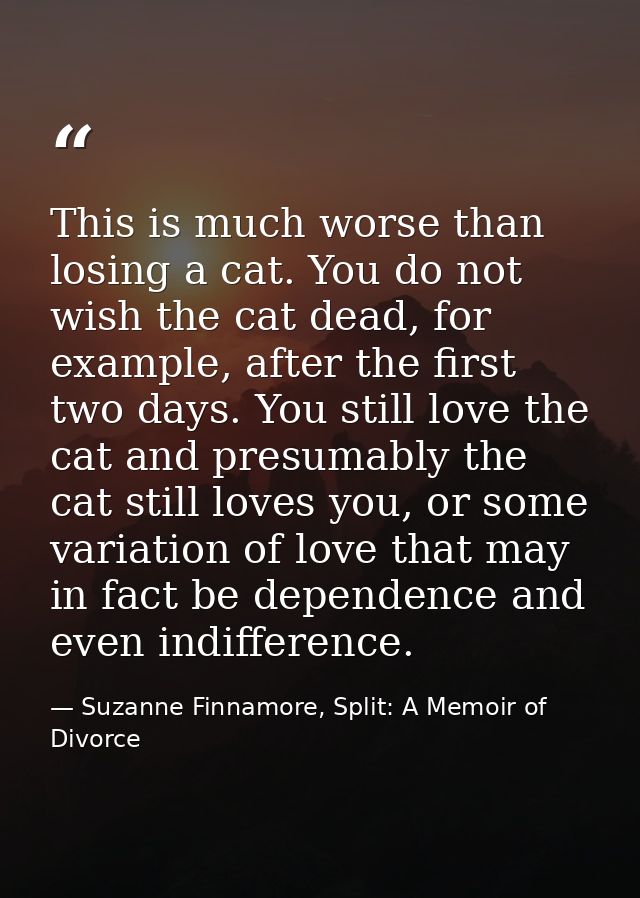 This is much worse than losing a cat. You do not wish the cat dead, for example, after the first two days. You still lov — Suzanne Finnamore, Split: A Memoir of Divorce
