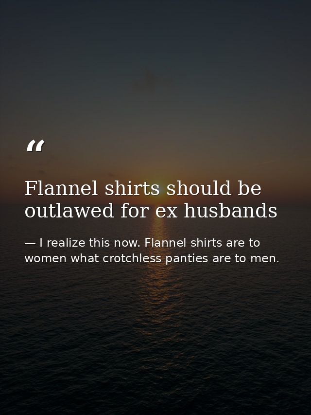 Flannel shirts should be outlawed for ex husbands — I realize this now. Flannel shirts are to women what crotchless panties are to men.