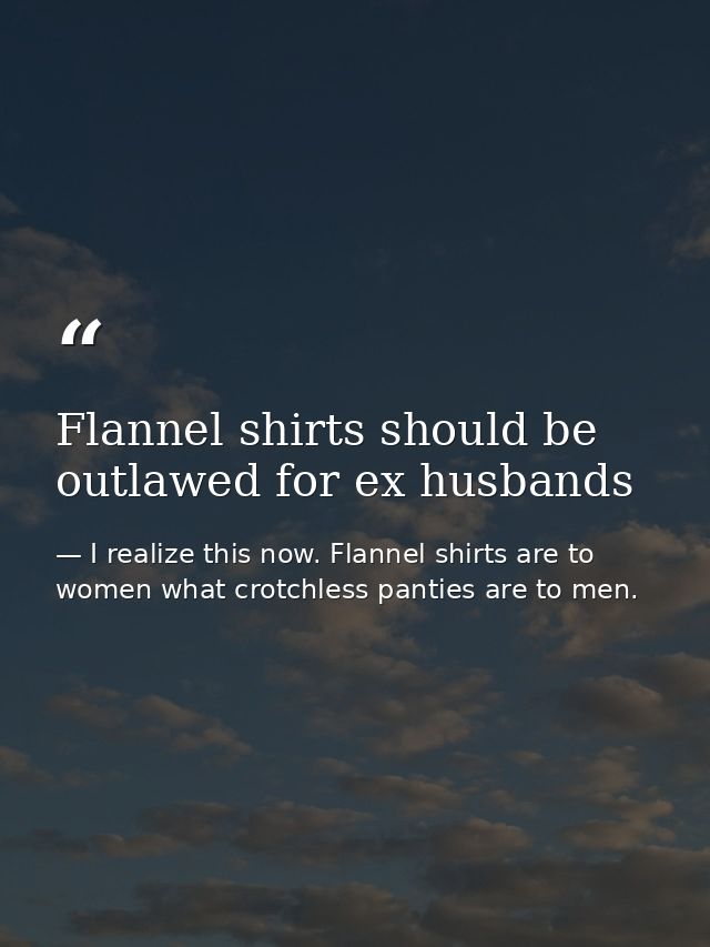 Flannel shirts should be outlawed for ex husbands — I realize this now. Flannel shirts are to women what crotchless panties are to men.