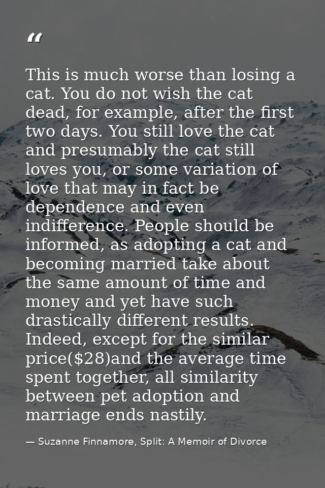 This is much worse than losing a cat. You do not wish the cat dead, for example, after the first two days. You still lov — Suzanne Finnamore, Split: A Memoir of Divorce