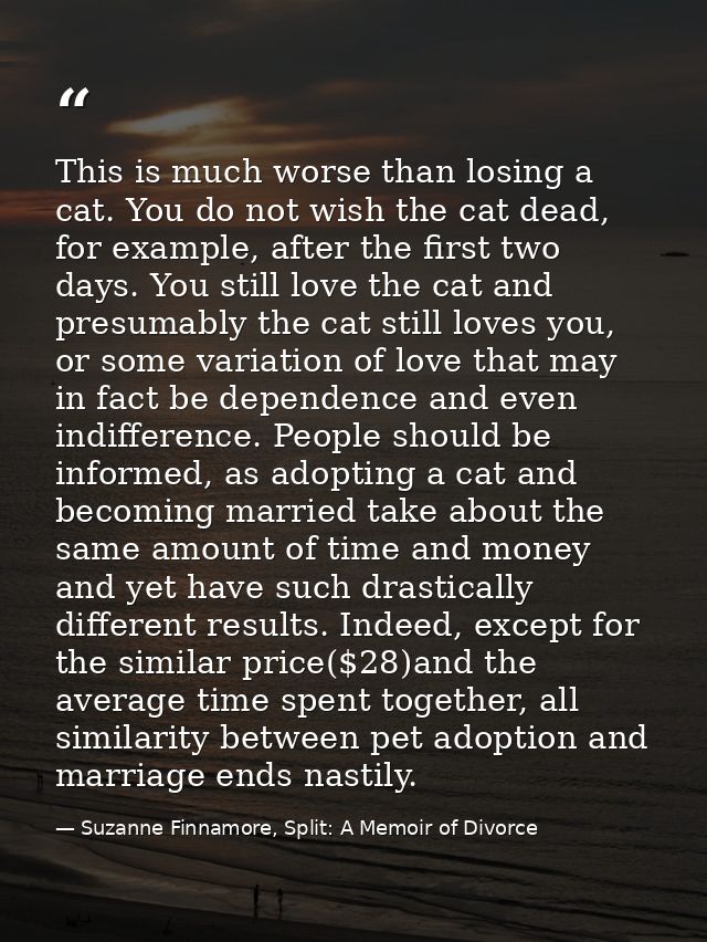 This is much worse than losing a cat. You do not wish the cat dead, for example, after the first two days. You still lov — Suzanne Finnamore, Split: A Memoir of Divorce